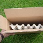 Versandkarton für maximal z.B. 1 kg Mehlwürmer oder Zophobas